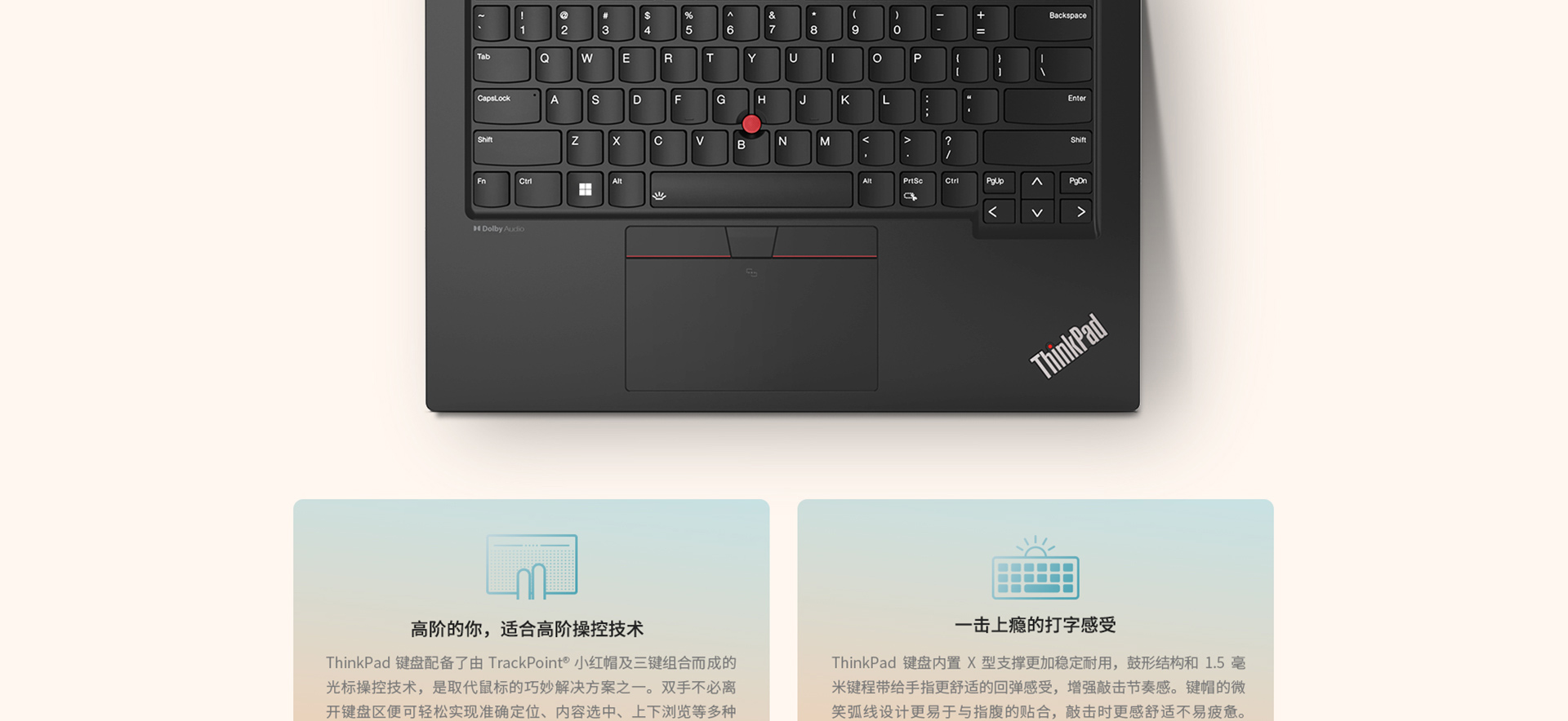 ThinkPad X13-19